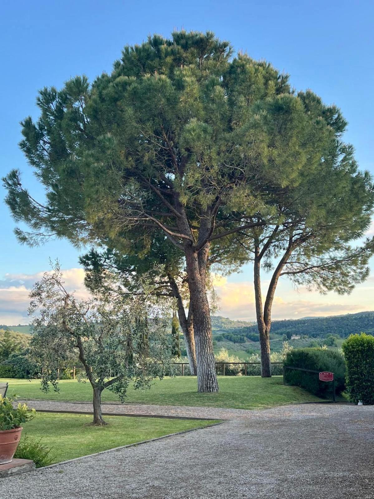 Fattoria Abbazia Monte Oliveto Villa San Gimignano Kültér fotó